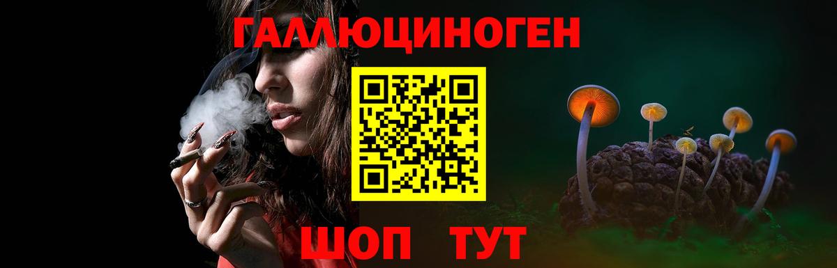 Галлюциногенные грибы Psilocybe  Галлюциногенные грибы GOLDEN TEACHER  Тосно  Вход с VPN 